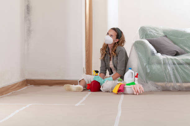 Reliable Black Mold Remediation contractor in Winthrop, MA by Mold Remediation HQ